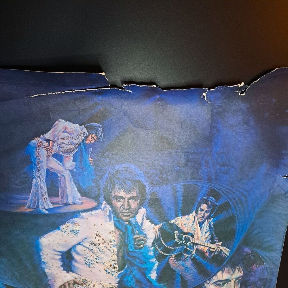 Rare 1978 Elvis Presley Poster By Danny Berg Signed Concert Art 23"x30" Retro‎ - Picture 5 of 14
